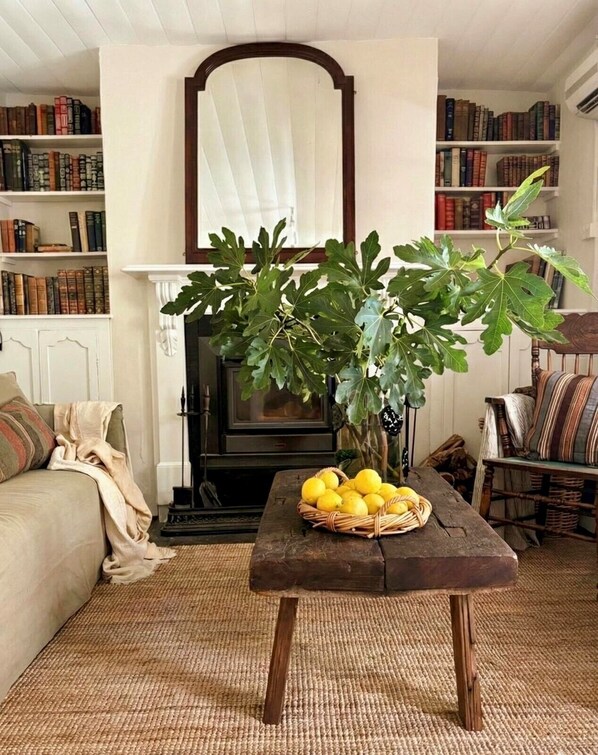Smart TV, chimenea, libros y estéreo 