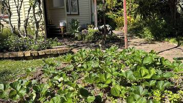 House, 2 Bedrooms, Smoking, Garden View | Garden