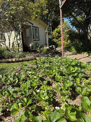 Casa, 2 quartos, para fumantes, vista para o jardim | Jardim