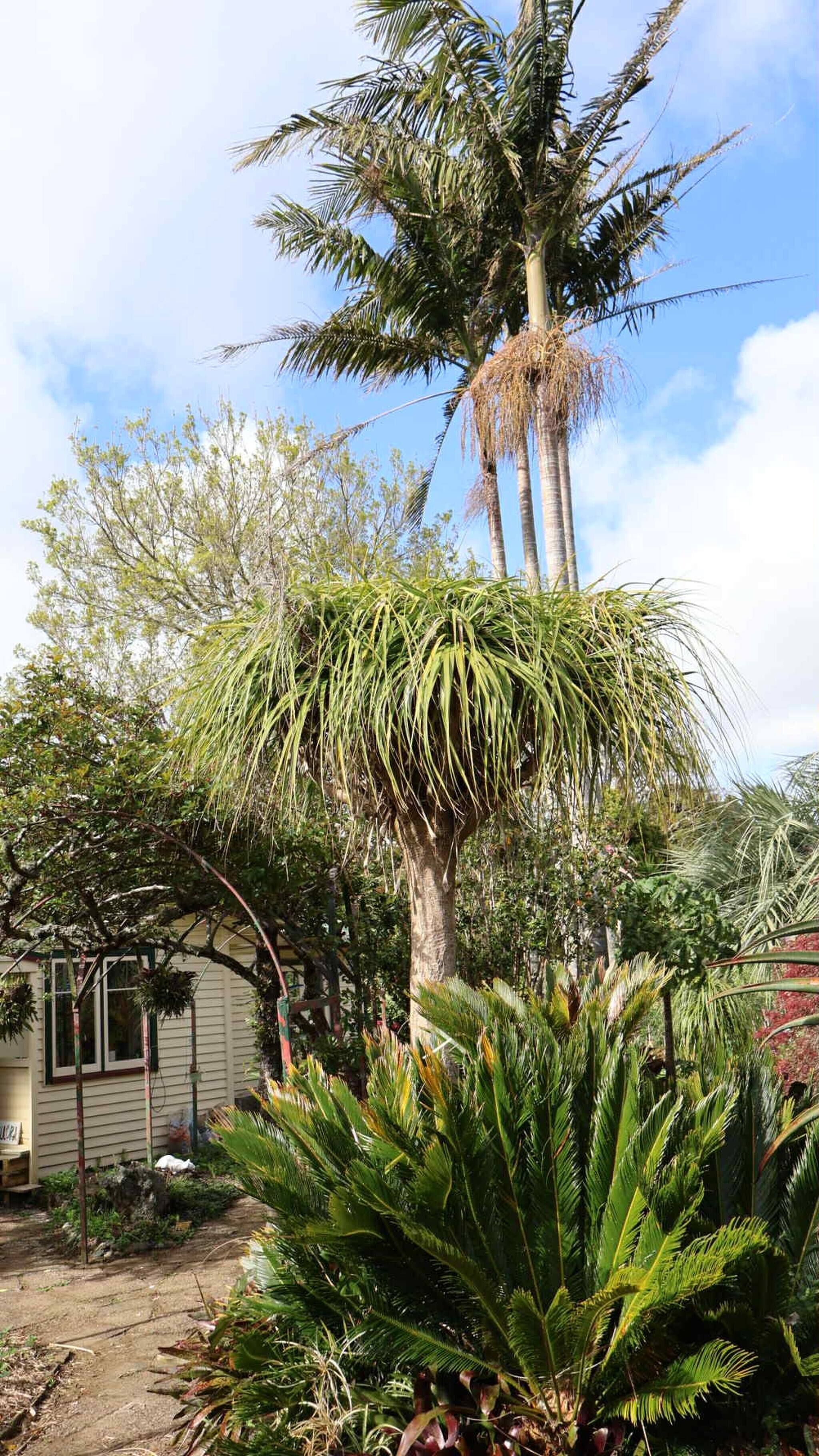 House, 2 Bedrooms, Smoking, Garden View | Garden