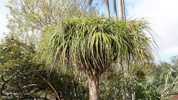 House, 2 Bedrooms, Smoking, Garden View | Garden