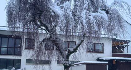 Holiday Home in Bestwig With Ski-storage