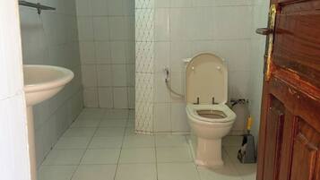 Toallas, papel higiénico