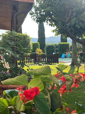 Property grounds - Relax Home Holiday (Umbria)