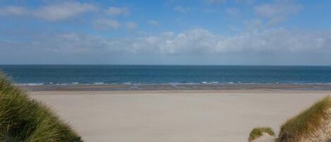 A beach with a clear sky and calm sea.