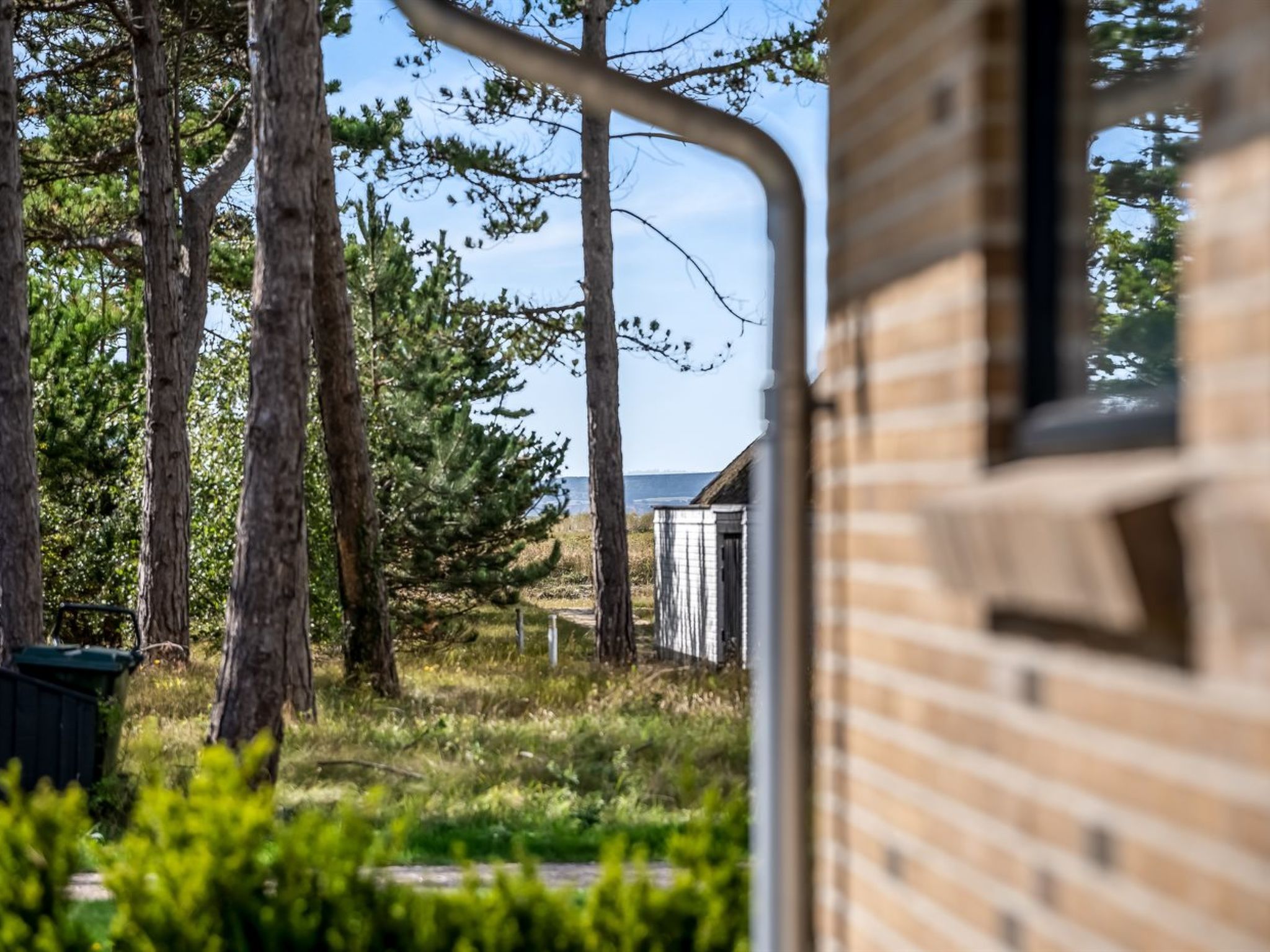 Una baita di legno con un tubo di metallo, circondata da alberi alti e un cielo sereno.