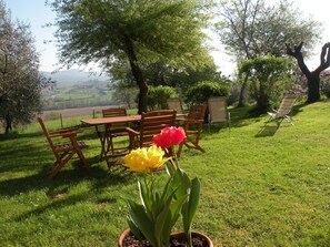 Outdoor dining - Nature and culture: Tuscan house in the countryside - ideal for families or friends (Toscana)