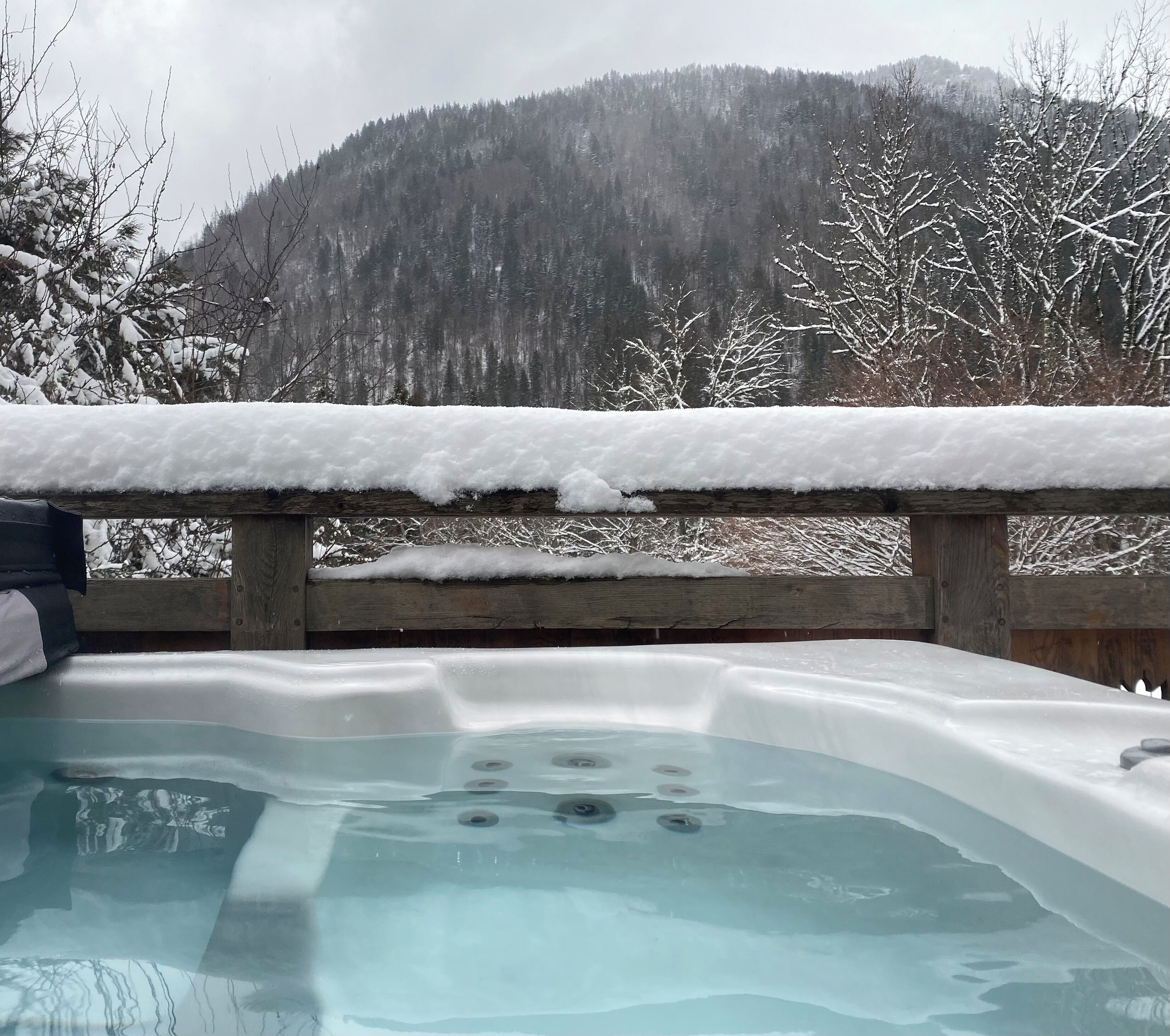Un jacuzzi con terraza de madera y un bosque nevado al fondo.