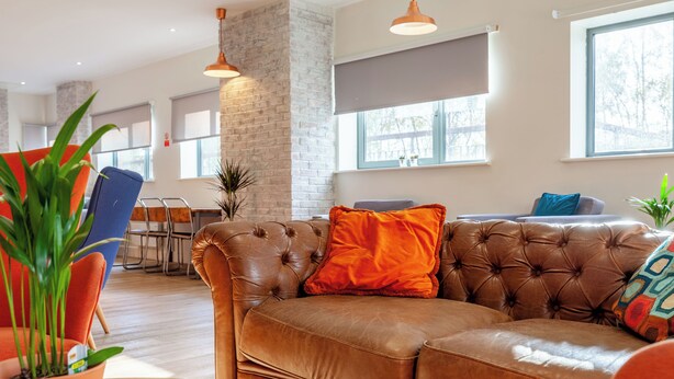 Un salon moderne avec un canapé en cuir marron, une table basse en bois et un coin repas comprenant une chaise bleue et une table.