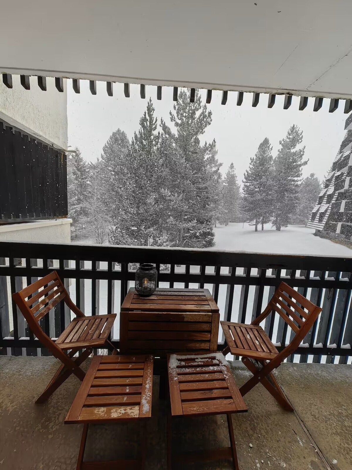 Imagen de perfil del propietario o de la propietaria