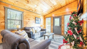 Televisie, een open haard en een dvd-speler