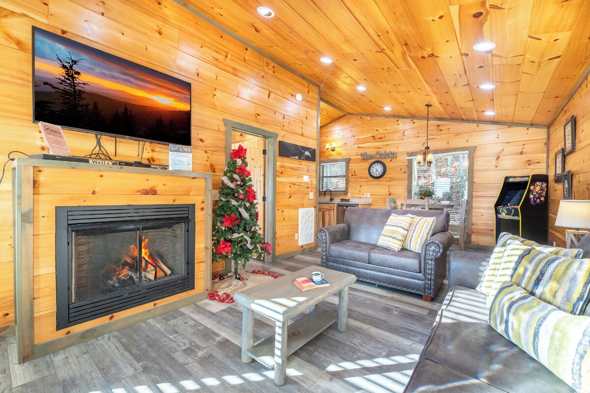 Televisie, een open haard en een dvd-speler