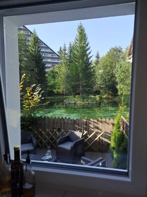 Interior - Your Mountain/Lake/Ski/Spa Hideaway near Tauplitz & Hallstatt in Bad Mitterndorf (Bad Mitterndorf)