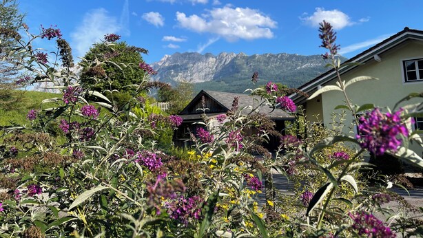 Una casa con montañas al fondo, rodeada de plantas y flores diversas.