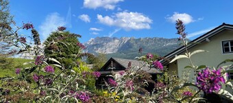 Your Mountain/Lake/Ski/Spa Hideaway near Tauplitz & Hallstatt in Bad Mitterndorf