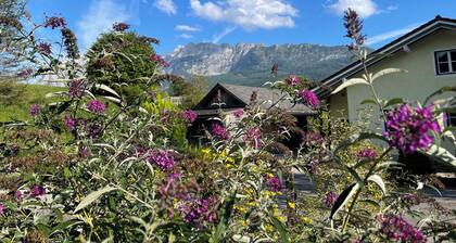 Your Mountain/Lake/Ski/Spa Hideaway near Tauplitz & Hallstatt in Bad Mitterndorf