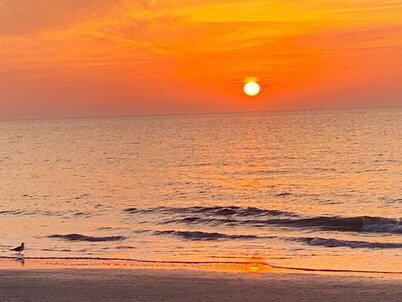 Ocean Retreat B208 - Cozy 1-bedroom condo in peaceful Hilton Head Island.