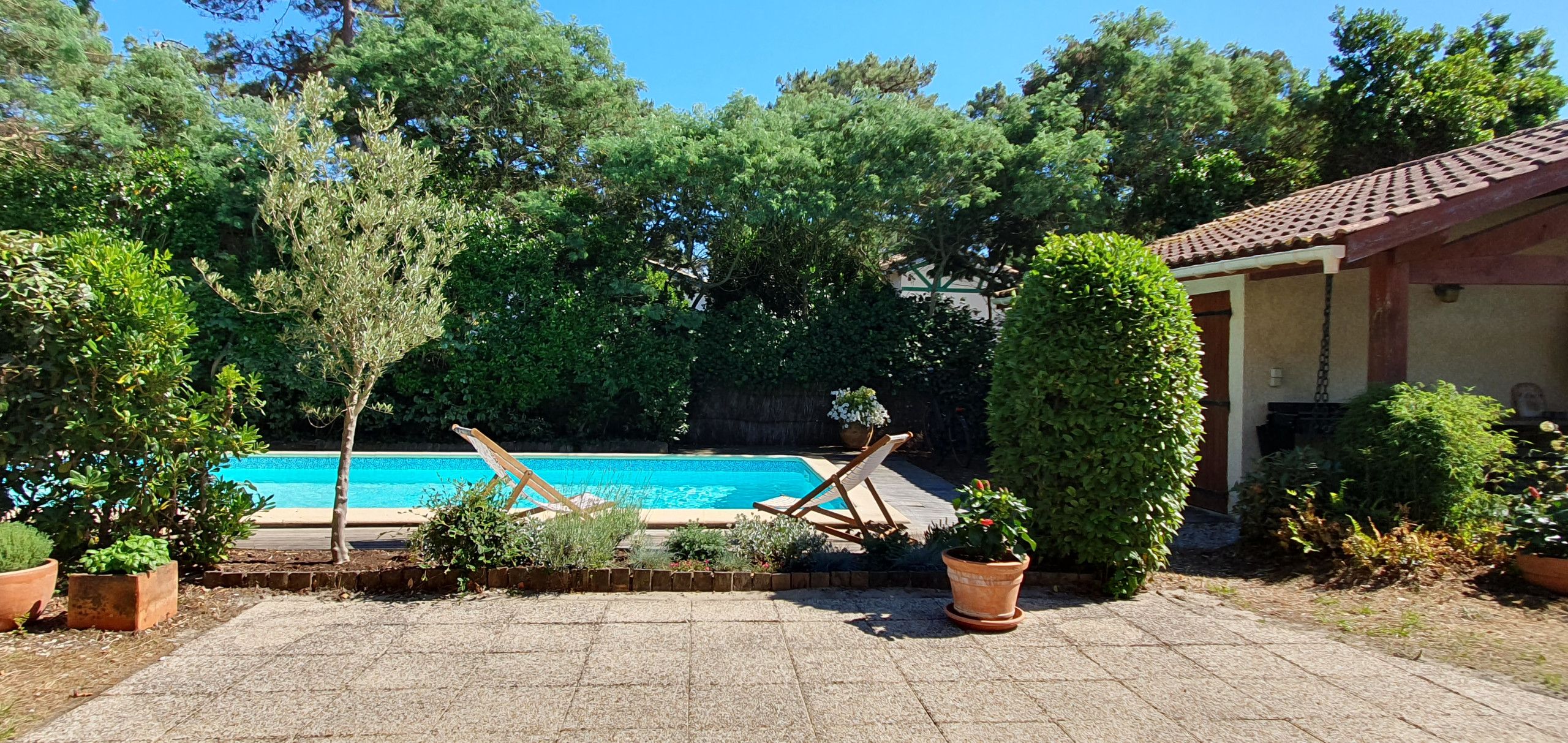 Um quintal com piscina, vasos de plantas e área de varanda.