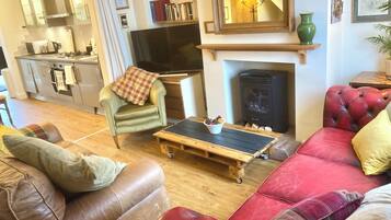 Smart TV, fireplace, books