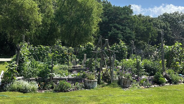 A well-maintained garden with various plants and trees, a grassy lawn, and a clear blue sky. - Welcome to the Savanna Shire! Cozy one room cabin for a lovers getaway! (Thomson)
