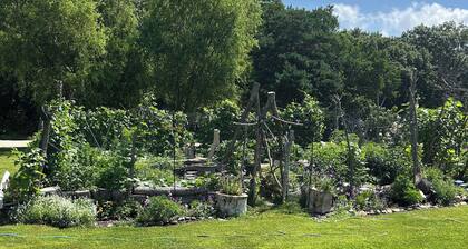 Welcome to the Savanna Shire! Cozy one room cabin for a lovers getaway!