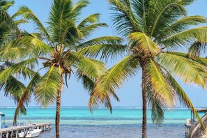Una spiaggia con palme e un molo.