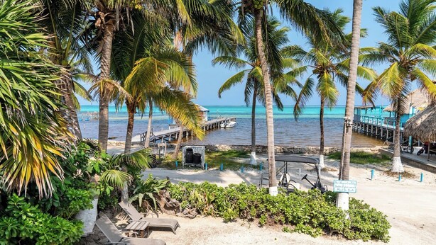 Ein Strand mit Palmen, einer Anlegestelle und Liegestühlen.