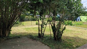 Un jardín con un sendero, un árbol pequeño y una zona de césped.