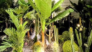 A modern indoor garden with various plants and rocks. - Votre Appart Cosy avec 2 terasses Calmes (Casablanca)