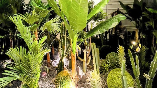 Un jardín interior moderno con diversas plantas y rocas.