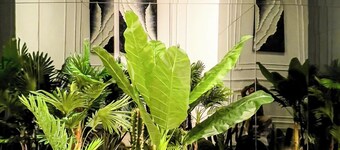 โวทร อพาร์ต โคซี อาเวก 2 เทอราสส์ คาล์ม  