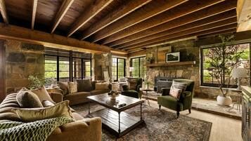 Smart TV, fireplace, books