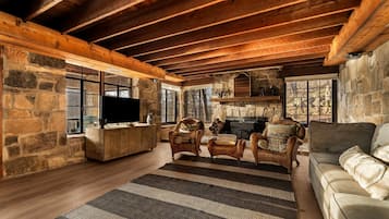 TV connectée, cheminée, livres