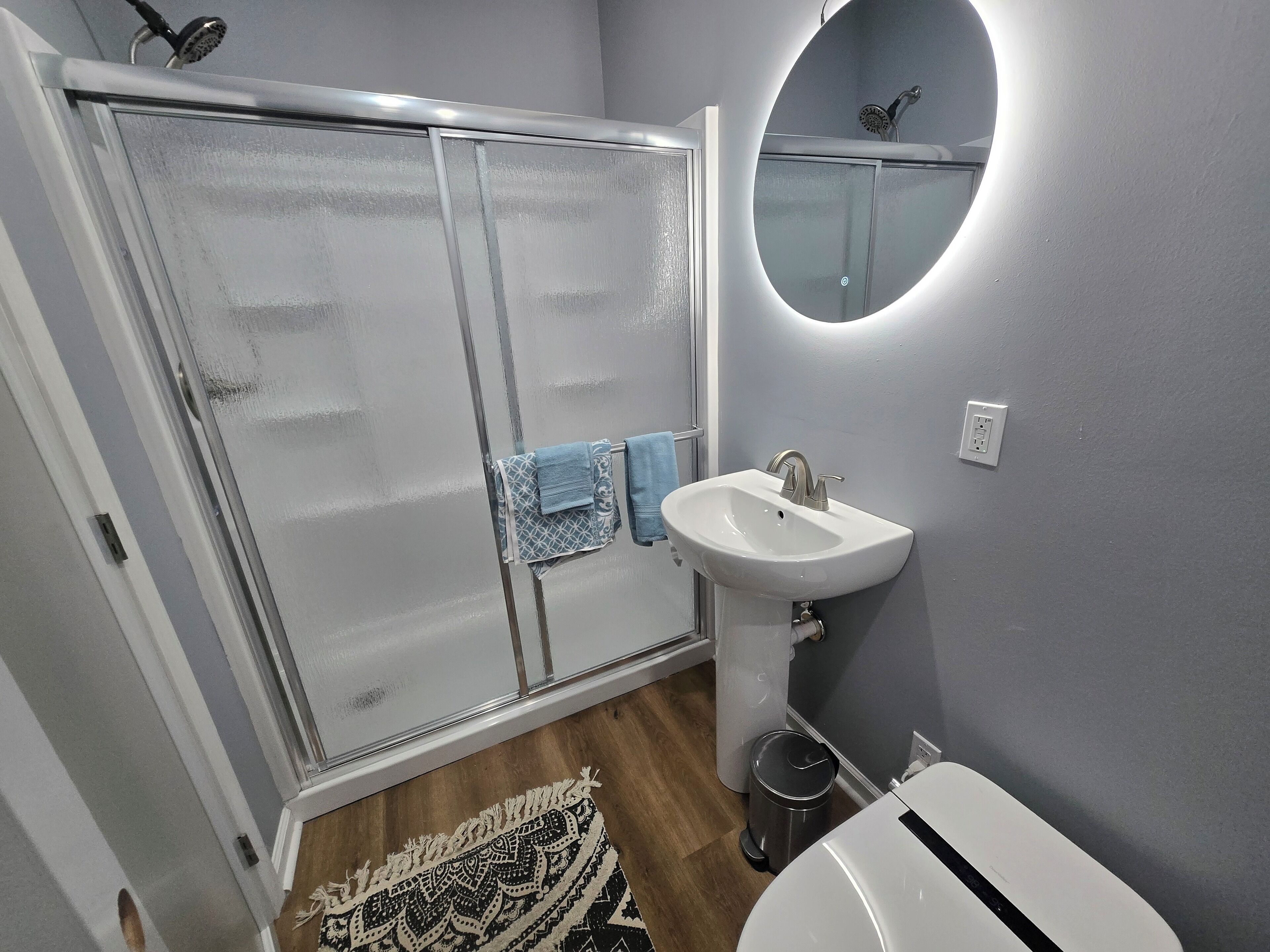 Shower, hair dryer, bidet, towels