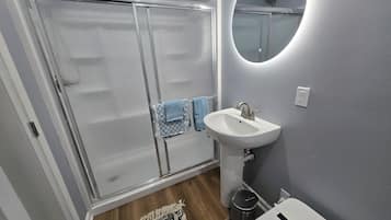 Shower, hair dryer, bidet, towels