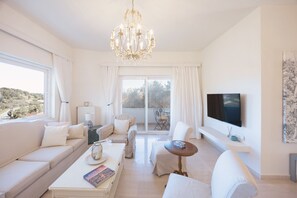 Smart TV, chimenea y libros 