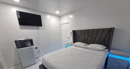 Philips Scott House Calinago