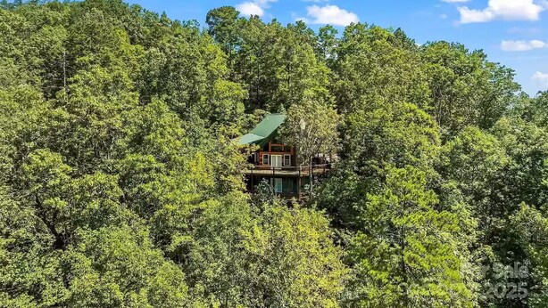 Eine Hütte, umgeben von dichtem Wald, mit blauem Himmel darüber.