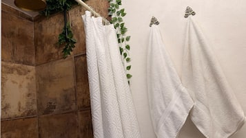 Secador de pelo, toallas, jabón, shampoo