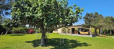A tree with a hammock and a swing set in a well-maintained lawn area.