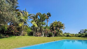 Une piscine d’eau cristalline, entourée d’une végétation luxuriante et de palmiers.