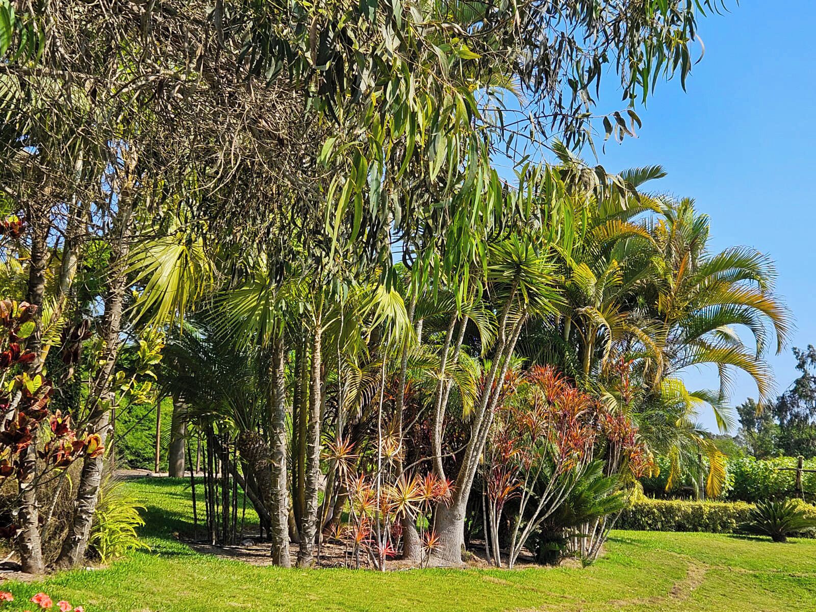 Casa, vista piscina | Parco della struttura