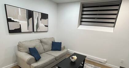 Modern Basement Suite in trendy location in South Winnipeg, near UManitoba