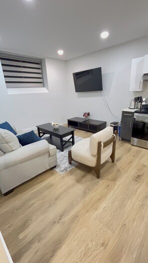 TV - Modern Basement Suite in trendy location in South Winnipeg, near UManitoba (Winnipeg)