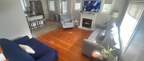 Smart TV, fireplace, books