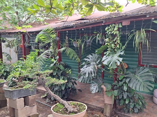 Bonsai House