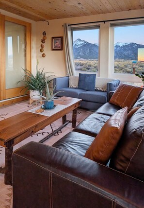 Smart TV, chimenea, libros y estéreo 