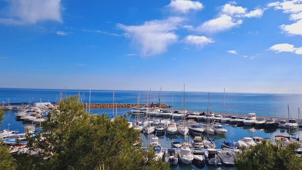 Un puerto deportivo con numerosos barcos amarrados, rodeado de árboles y un cielo azul despejado.