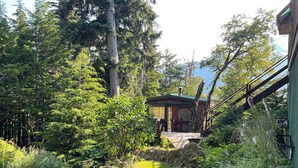 A well-maintained garden with a variety of trees and shrubs, a wooden deck, and a small building with a green roof.