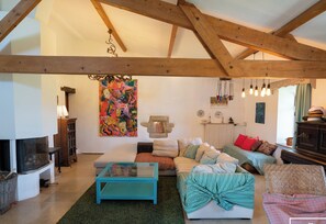 Télévision, cheminée, livres